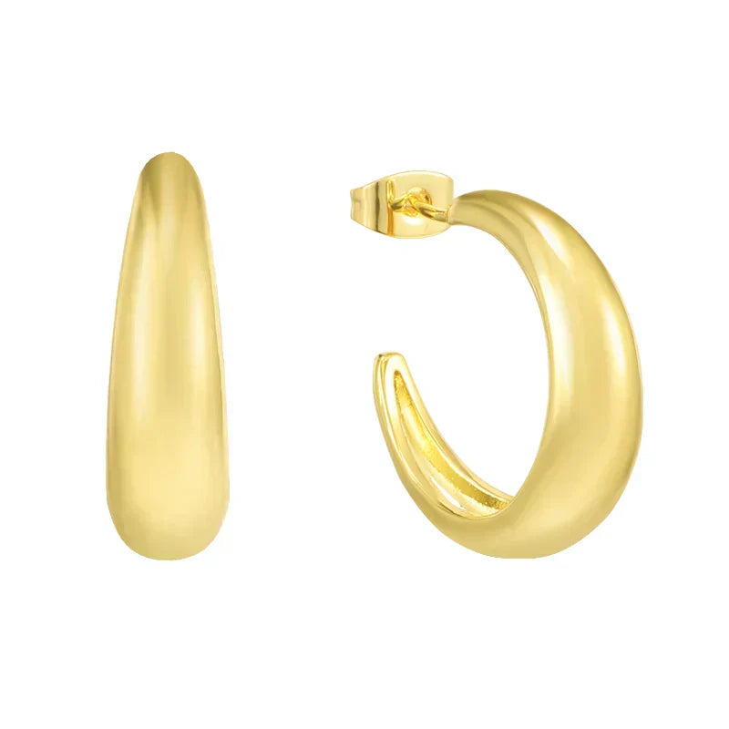 Gabriela Elegant Round Earrings for Daily Wear