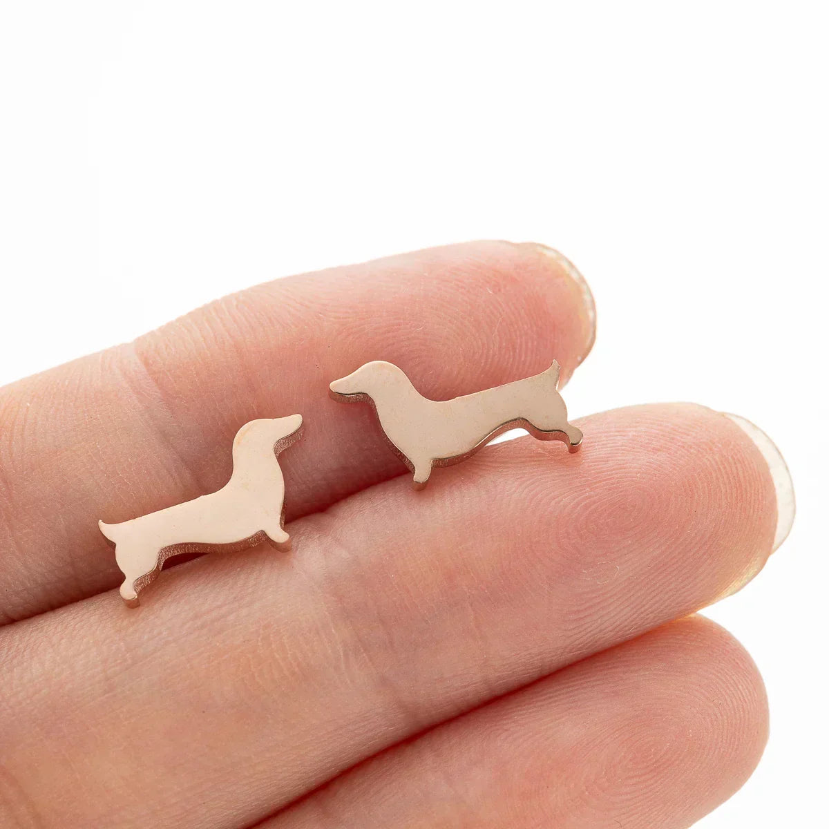 Cercei Dachshund