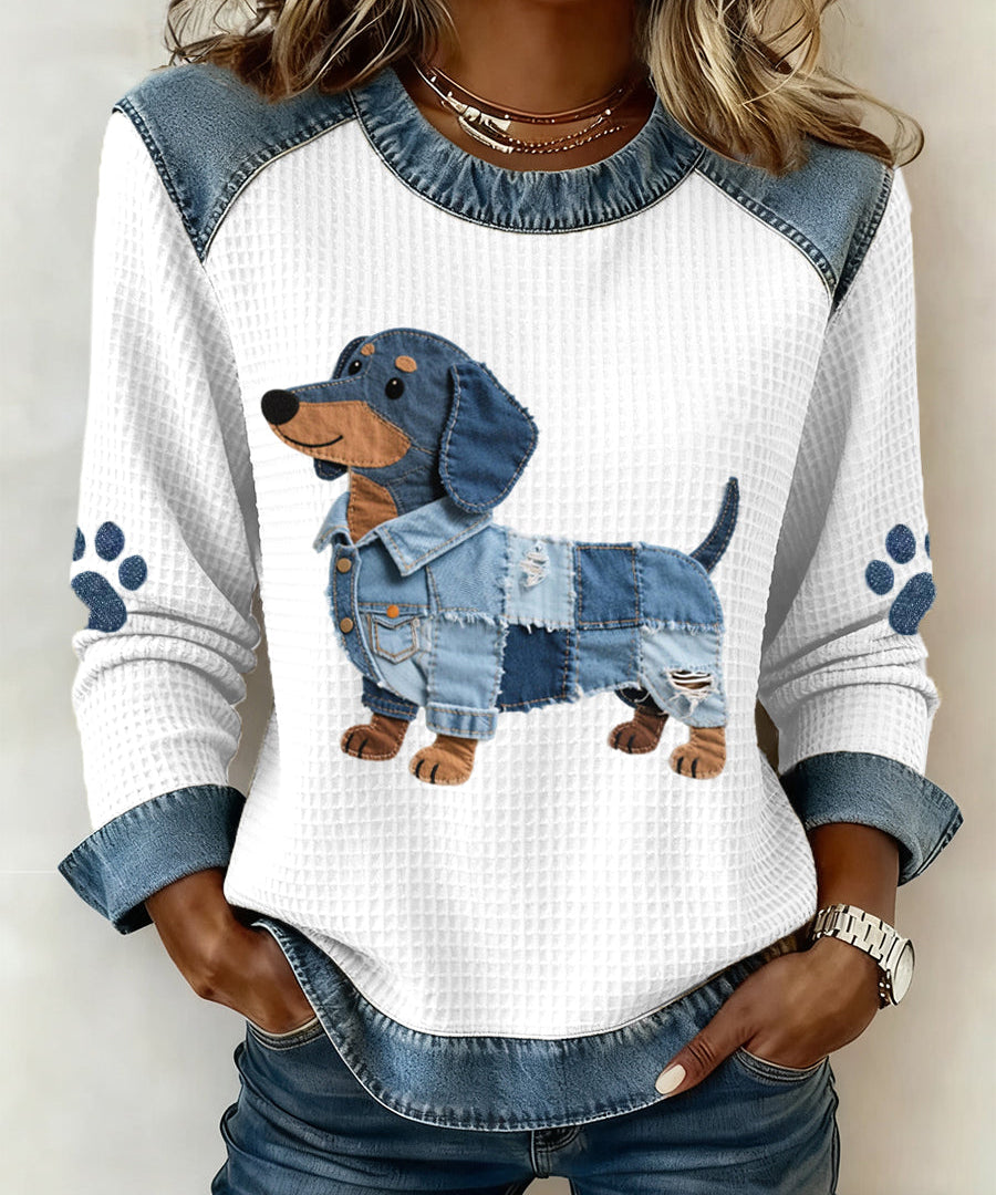 Charming dachshund with denim patchwork
